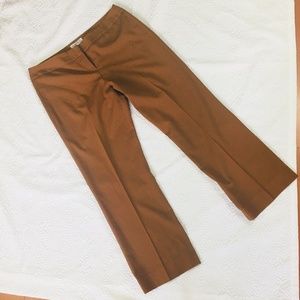 Analogy Women Dress Pants Size 14 Brown Work